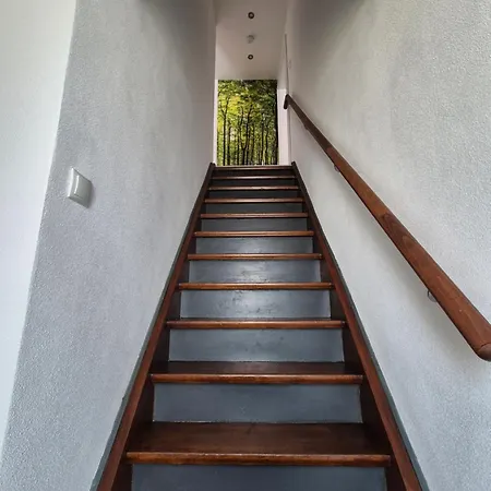 Pfalzzeit-weinstrasse Eichhaernel * Kirrweiler (Sudliche Weinstrasse)