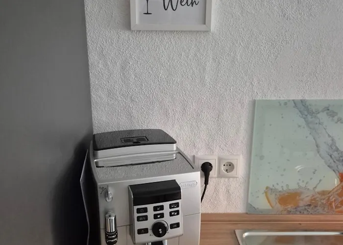 Daire Pfalzzeit-weinstrasse Eichhaernel Kirrweiler (Sudliche Weinstrasse)